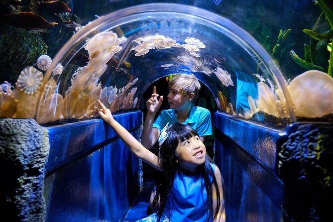 SEA LIFE Melbourne Aquarium Admission Ticket - Who Will Enjoy This Aquarium?
