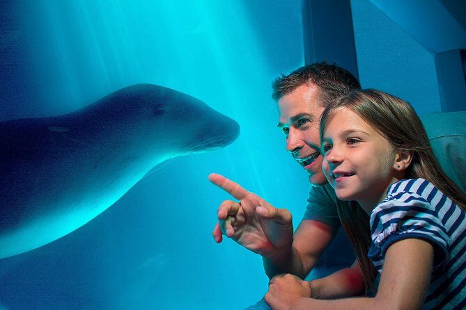 SEA LIFE Sunshine Coast Aquarium Entrance Ticket - Final Thoughts: Is It Worth It?