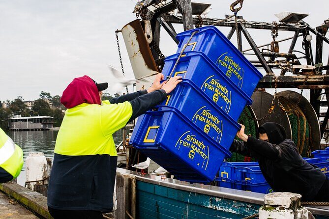 Seafood Discovery Class at Sydney Seafood School - Who Will Love This Tour?