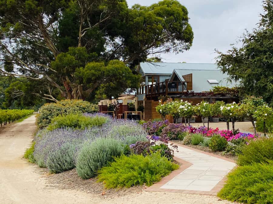 Seaford Rise: Langhorne Creek Crossing - An In-Depth Look at the Tour Experience