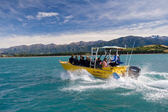 Seal Swimming Tour from Kaikoura - Who Would Love This Tour?