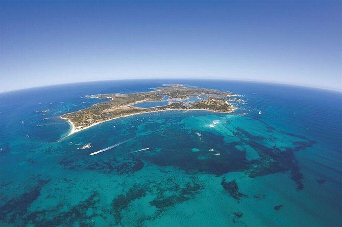 Sealink Bike & Ferry Package from Fremantle - The Practical Side: What You Need to Know