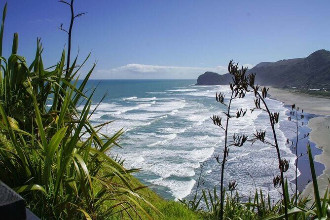 Seamless Auckland Airport Transfers to Auckland CBD - From Airport to Auckland CBD: What to Expect