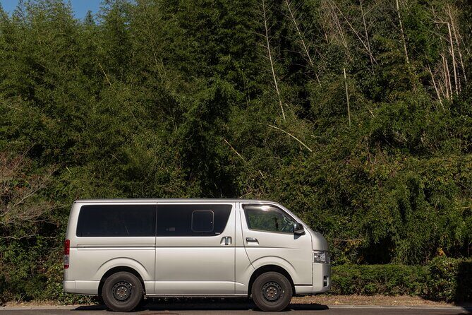 Seamless Niseko Private Transfer Service From Oshamanbe Station - Meeting Points and Logistics