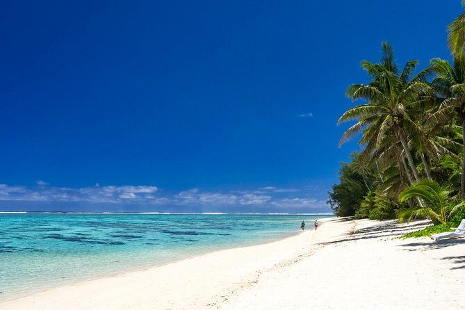 Seat in Coach Transfer from Rarotonga Airport to Hotel - Who Should Consider This Transfer?