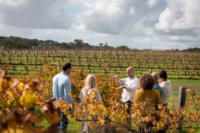 Secret Delights: Curated Wine, Coffee & Forest Experience - The Experience Providers and Group Dynamics