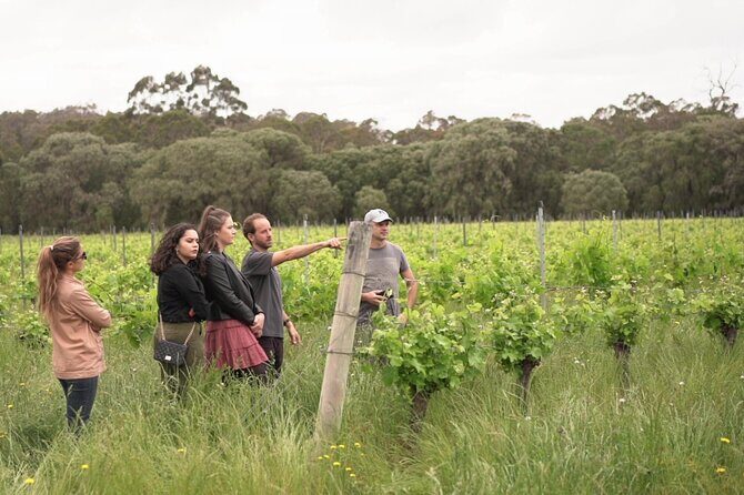 Secret Delights: Curated Wine, Coffee & Forest Experience - What Travelers Are Saying