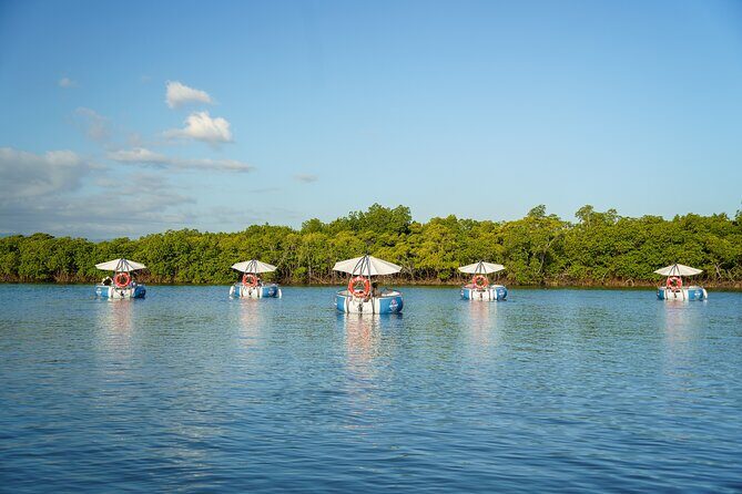 Self Drive BBQ eBoat Cruise with Onboard BBQ Denarau Fiji - An In-Depth Look at the Self-Drive BBQ eBoat Experience