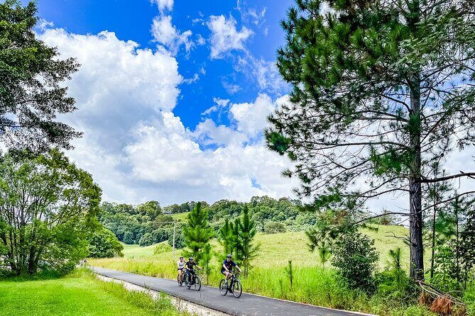 Self Guide E Bike Tour - Husk Distillery, Rainforest & Rail Trail - Detailed Itinerary and What to Expect at Each Stop