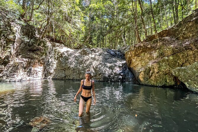Self Guided E Bike Tour - Unicorn Falls, Rainforest & Rail Trail - Authentic Traveler Feedback
