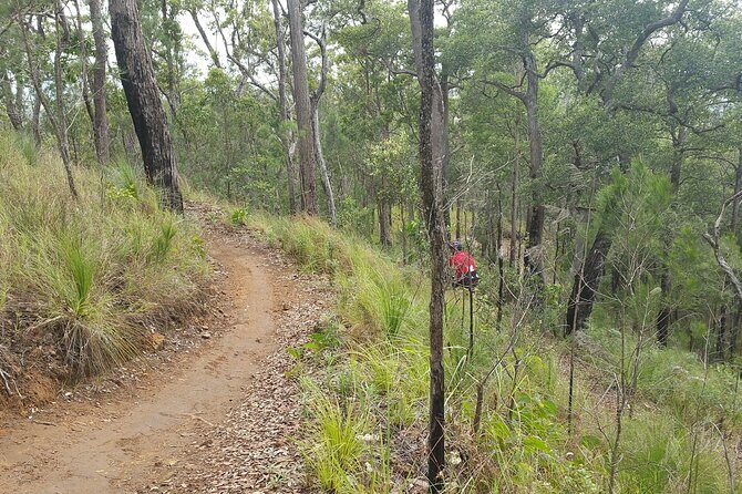 Self-Guided Mountain Bike Tours in Port Douglas - Detailed Breakdown of the Itinerary