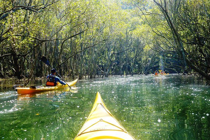 Self-Guided Sydney Middle Harbour Kayak 3 Hour Tour by Single Kayak - Frequently Asked Questions
