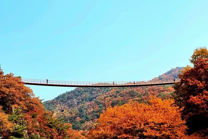 Seoul City Highlights Tour: Hanok Village, Scenic Routes - What Travelers Say