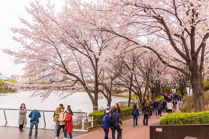 Seoul City Tour - Free Photo Service - The Practical Details: What to Expect