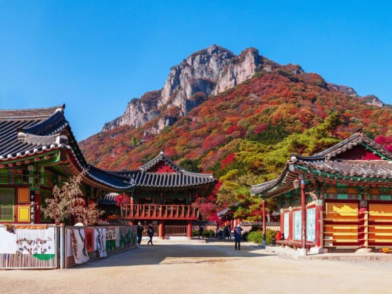 Seoul: Hwadamsup & Luge & Korea Folk Village One Day Tour - The Thrill of LuGe 360: Speed and Spectacle