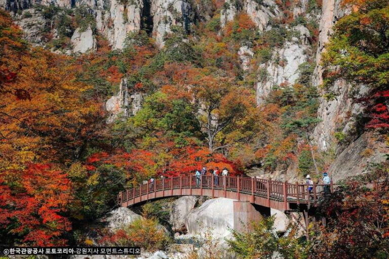 Seoul: Mt.Seorak, Nami Island, No Shopping(+RailBike Option) - Who Will Enjoy This Tour?