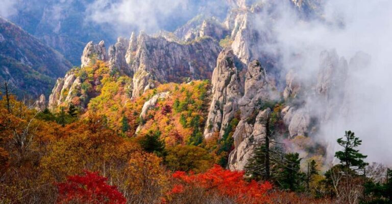 Seoul: Mt. Seoraksan National Park Autumn Foliage Day Tour - Exploring Seoraksan: Trails, Views, and Photo Opportunities