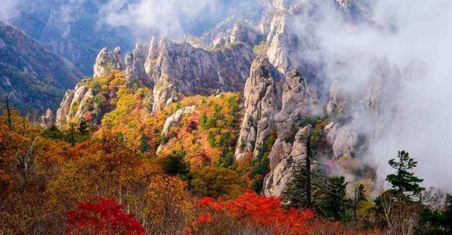 Seoul: Mt. Seoraksan National Park Autumn Foliage Day Tour - Exploring Seoraksan: Trails, Views, and Photo Opportunities