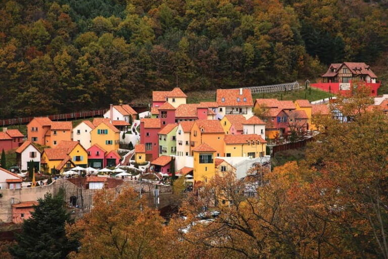 Seoul: Nami Island, Garden and Petite France (opt Railbike) - The Experience’s Strengths and Considerations