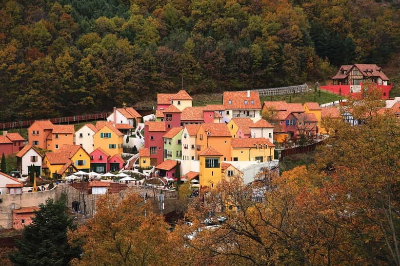 Seoul: Nami Island, Garden and Petite France (opt Railbike) - The Experience’s Strengths and Considerations