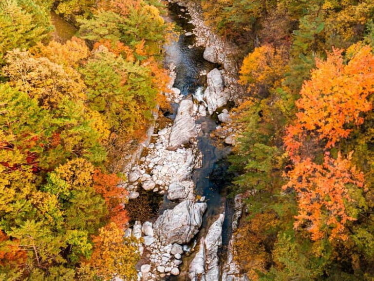 Seoul: Odaesan or Daedunsan Park Autumn Foliage Day Tour - Practical Details and What to Expect