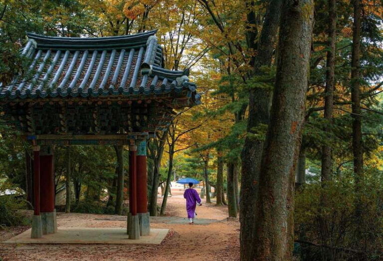 Seoul Sunrise & Sunset Hike + Temple & K-Food Adventure - Why This Tour Is a Great Value