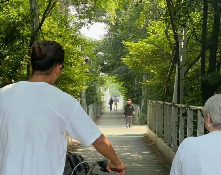 Seoul: Urban Nature Bike Tour along Han River - Who Would Love This Tour?