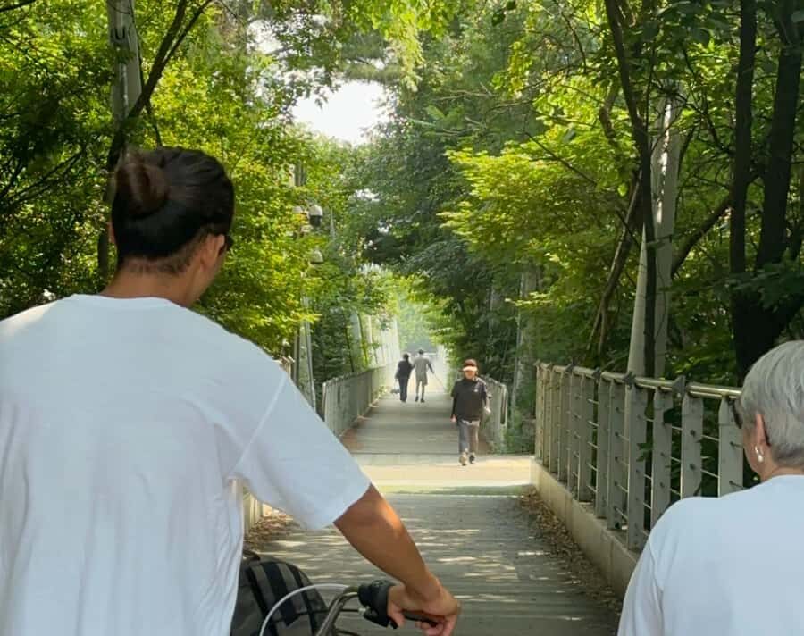 Seoul: Urban Nature Bike Tour along Han River - Who Would Love This Tour?