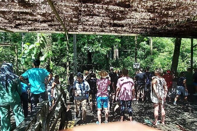 Sepilok Orangutan , SunBear, Proboscis Monkey from Sandakan City - Why This Tour Offers Great Value
