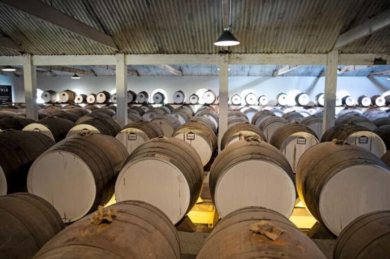Seppeltsfield Winery: Tour and 100-Year-Old Wine Tasting - Who Will Get the Most Out of This Experience?
