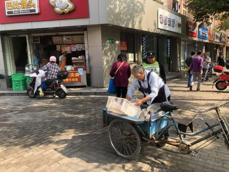 Shanghai: A Day of Immersive Suburban Life - Why This Tour Fits Certain Travelers Best