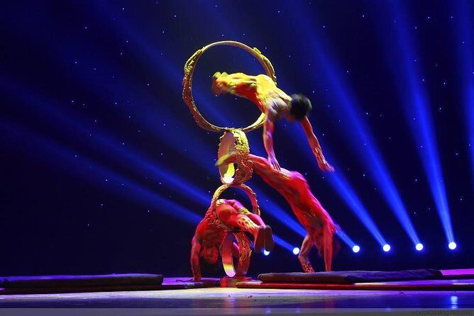 Shanghai Acrobatic Show and Late Dim Sum Dinner - Why This Tour Offers Great Value