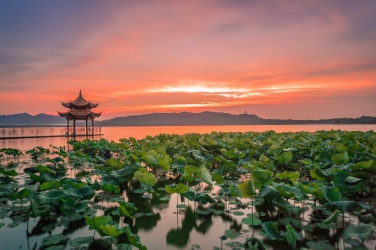 Shanghai: Private Guided Tour to Hangzhou by Bullet Train - Transportation and Timing