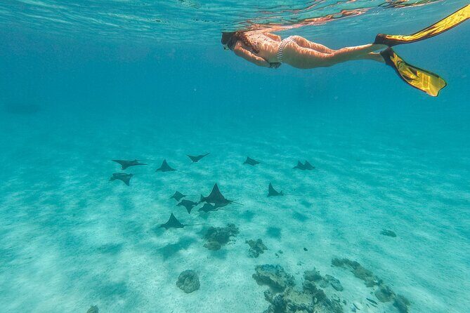 SHARED FULL DAY CULTURAL & LAGOON TOUR - Bora Bora Cultural Lagoon Tour - Pricing and Value