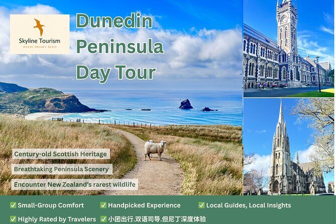 Shared Small Group Dunedin City and Peninsula Scenery Day Tour - The Sum Up