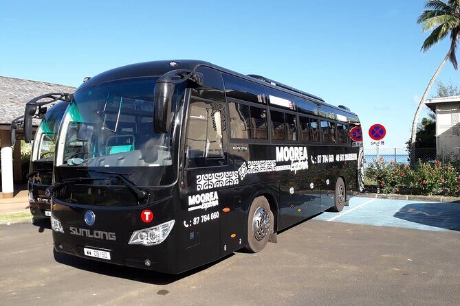 Shared Transfer : Hotel to Moorea Airport (or) Pier - Who Should Consider This Transfer?