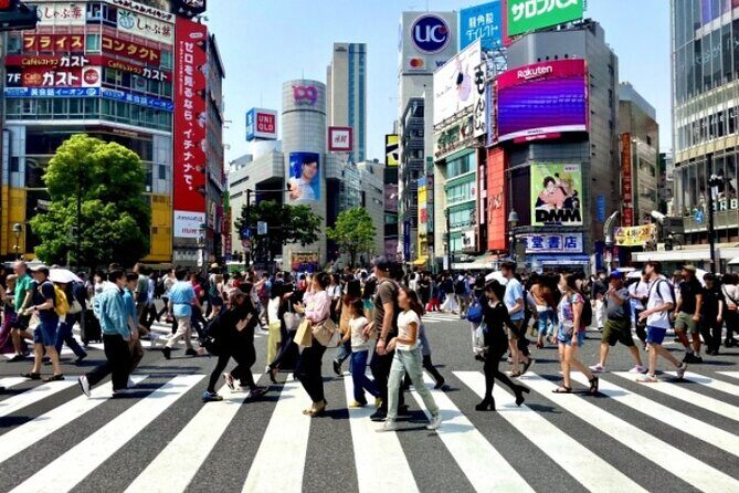 Shibuya Evening Walking Tour Tokyo in a Flash - Practical Considerations