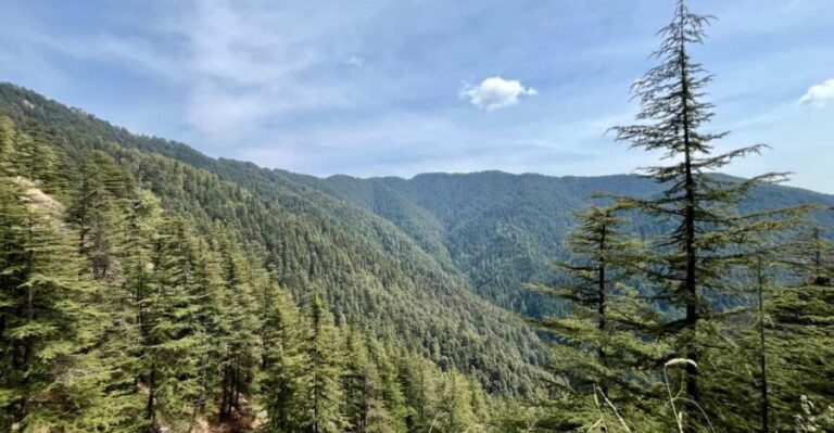 Shimla: Wildlife Sanctuary & Water Catchment Guided Tour - The Sum Up: Who Will Appreciate This Tour?