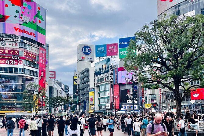 Shinjuku Tokyo Metropolitan observation and Shibuya Walking Tour - Practical Details and Value Analysis