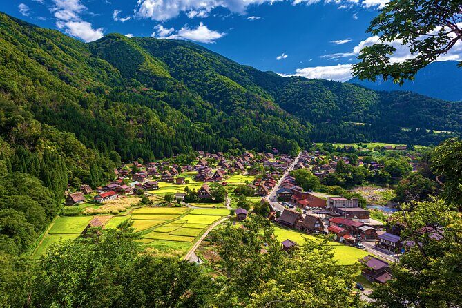 Shirakawago Day Trip: Government Licensed Guide & Vehicle from Takayama - In-Depth Tour Breakdown: What to Expect