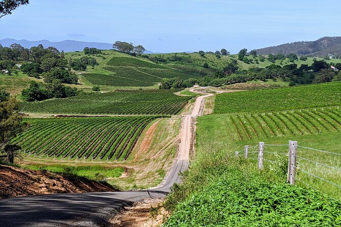Shire Shuttle Bus's Shoalhaven Coast Wine Tour - A Deep Dive into the Shoalhaven Coast Wine Tour
