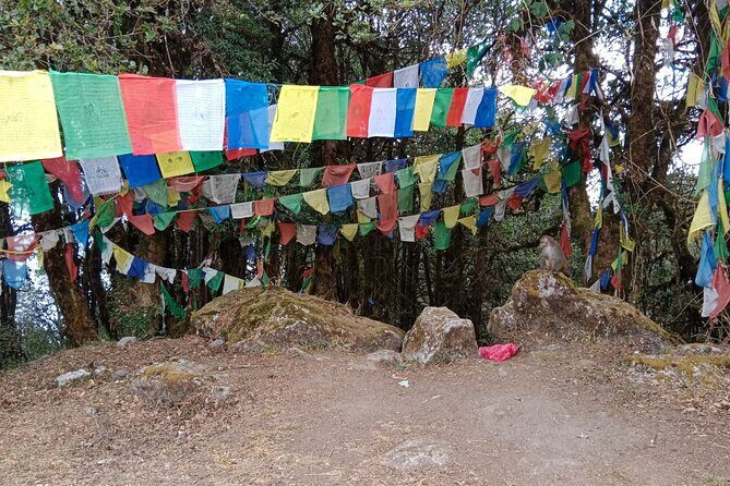 Shivapuri Peak Day Hike from Kathmandu - The Sum Up: Is It Worth It?