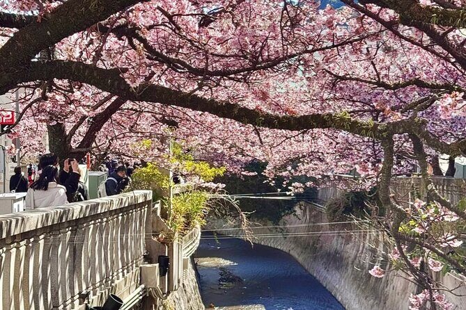 Shizuoka and Izu City Cherry Blossom Private 2 Days Tour - Day 1: Cultural Heritage and Mount Fuji Views