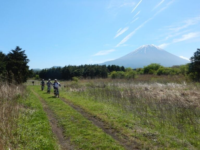 Shizuoka : Private Adventure E-bike Tour around Mt Fuji - Authenticity and Reviews: What Travelers Say