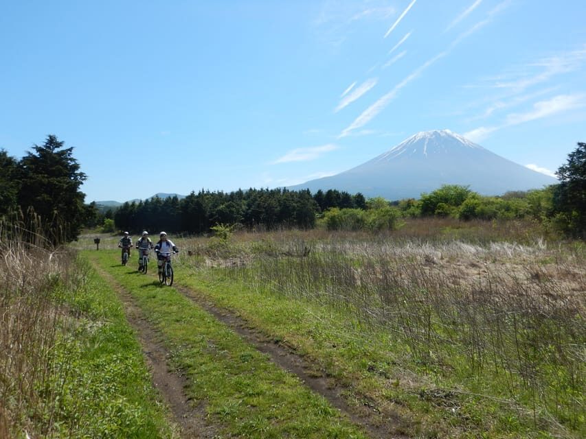 Shizuoka : Private Adventure E-bike Tour around Mt Fuji - Authenticity and Reviews: What Travelers Say