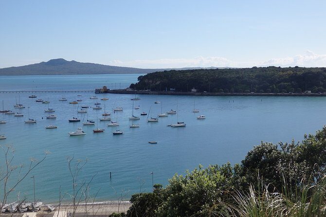 Shore Excursion: Auckland Scenic Full Day Tour - 8 Hours - What Travelers Say: Authentic Perspectives