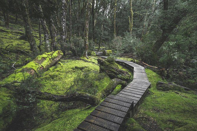 Shore Excursion - Cradle Mountain Shuttle Bus from Burnie - What travelers love (and sometimes wish for)