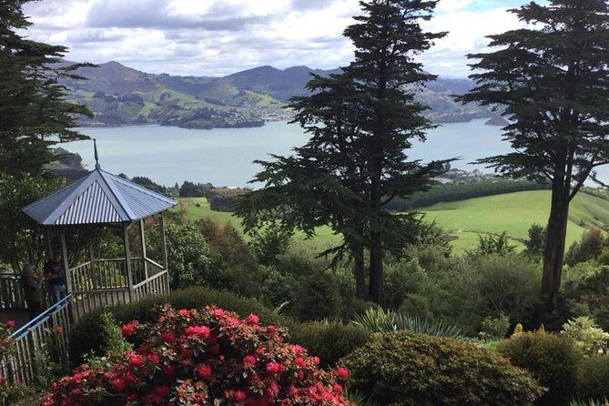 Shore Excursion: Dunedin City, Otago Peninsula, Castle Gardens & Olveston Tour - The Experience and Its Value