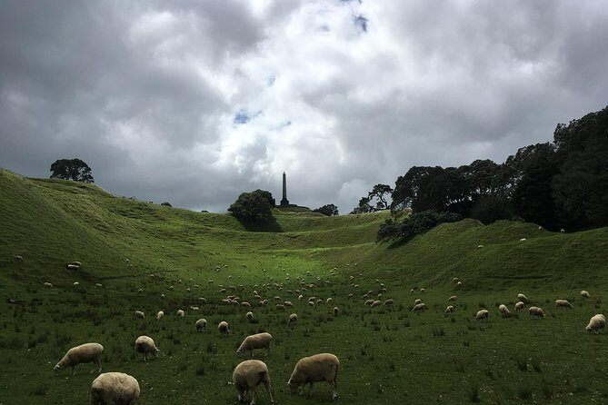 Shore Excursion: Half-Day Auckland Volcanoes Tour - Who Should Consider This Tour?