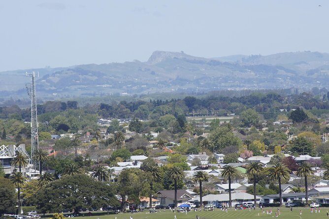Shore Excursion: Napier and Surrounding Countryside Scenic Tour - The Experience: What You’ll Really Get